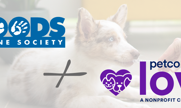 Woods Humane Society and Petco Love Team Up to Hold Free Vaccine Clinics