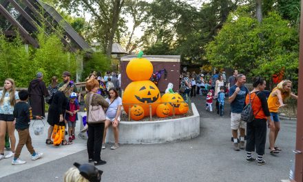 Zoo Boo Delights Costumed Critters