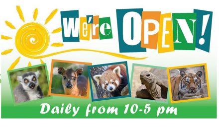 Charles Paddock Zoo Re-opens Friday, Jan. 29