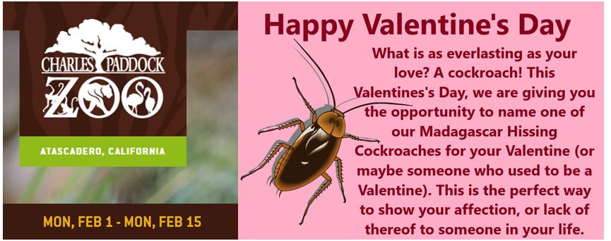 Charles Paddock Zoo Presents Adopt-a-Cockroach Valentine!