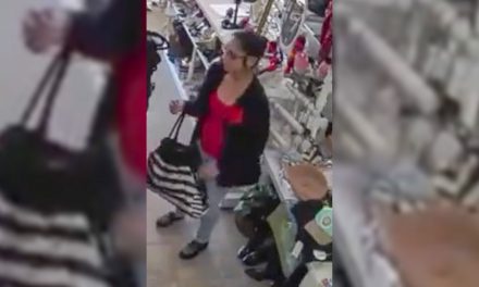 Video from North SLO County Business Captures Shoplifter