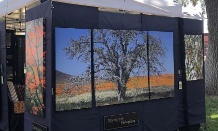 Art in the Park Returned to Paso Robles For a Successful Weekend