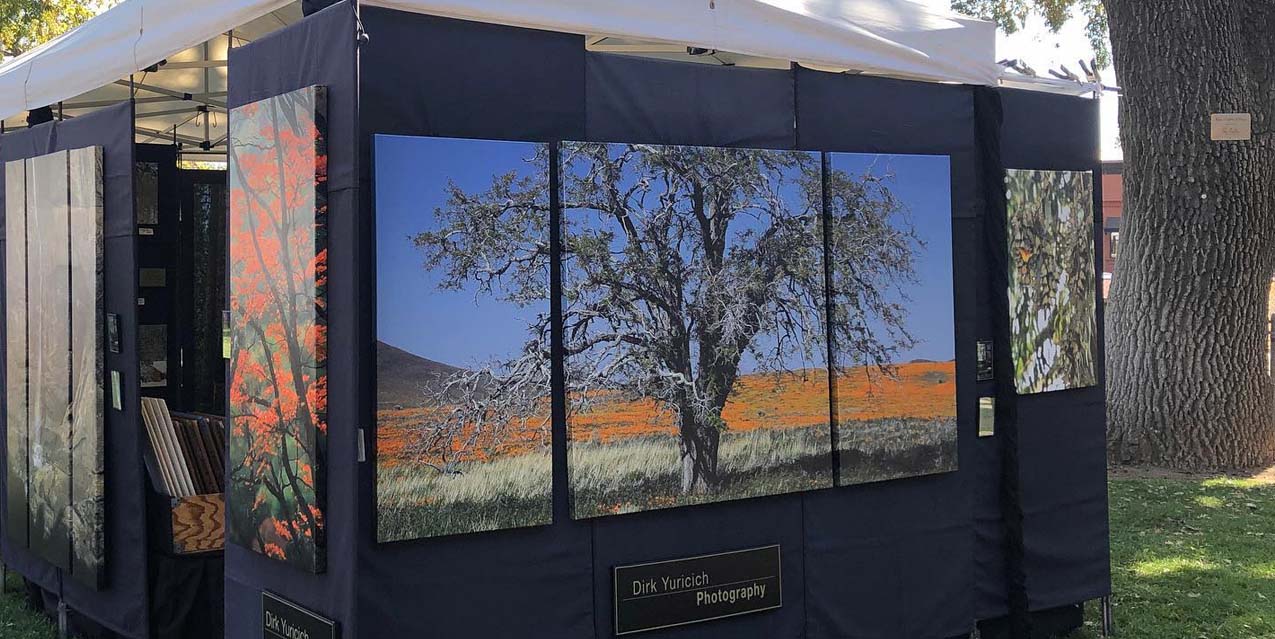 Art in the Park Returned to Paso Robles For a Successful Weekend