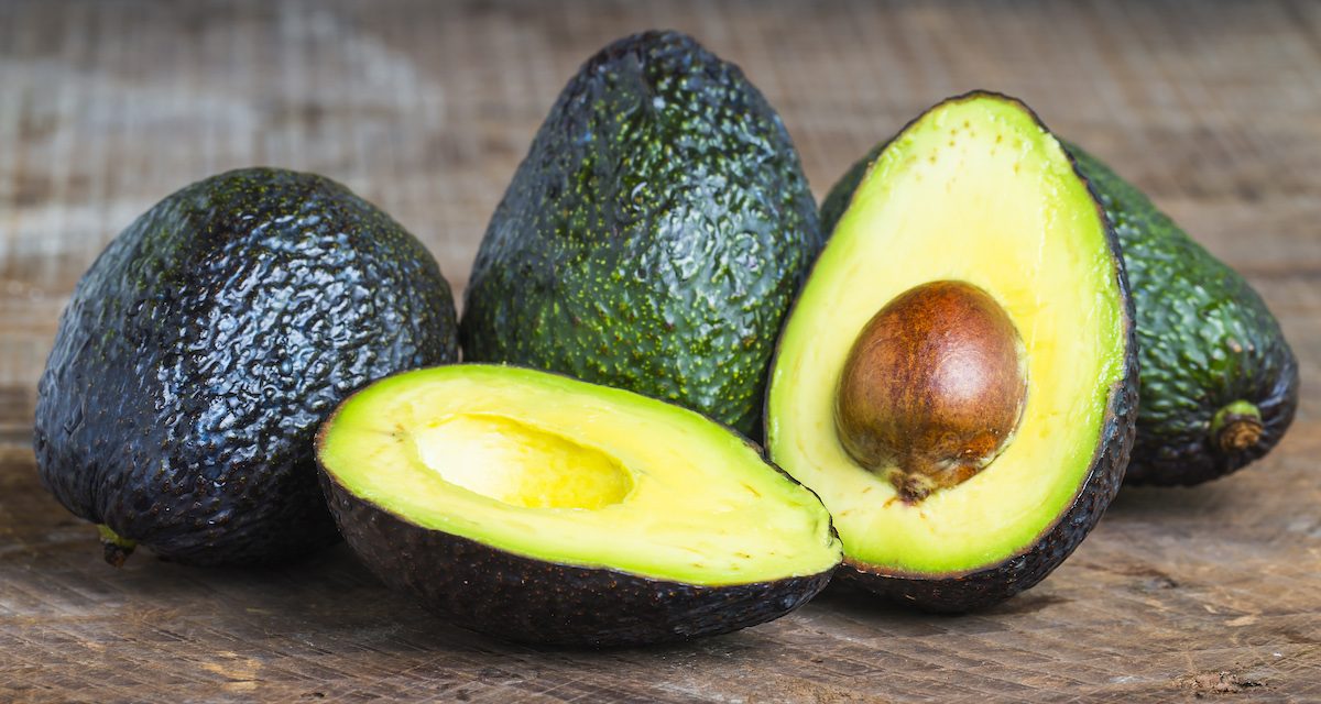 Imports and labor shortage challenge avocado growers