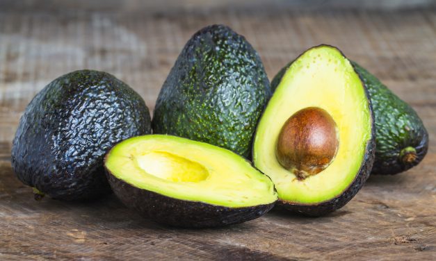 Imports and labor shortage challenge avocado growers
