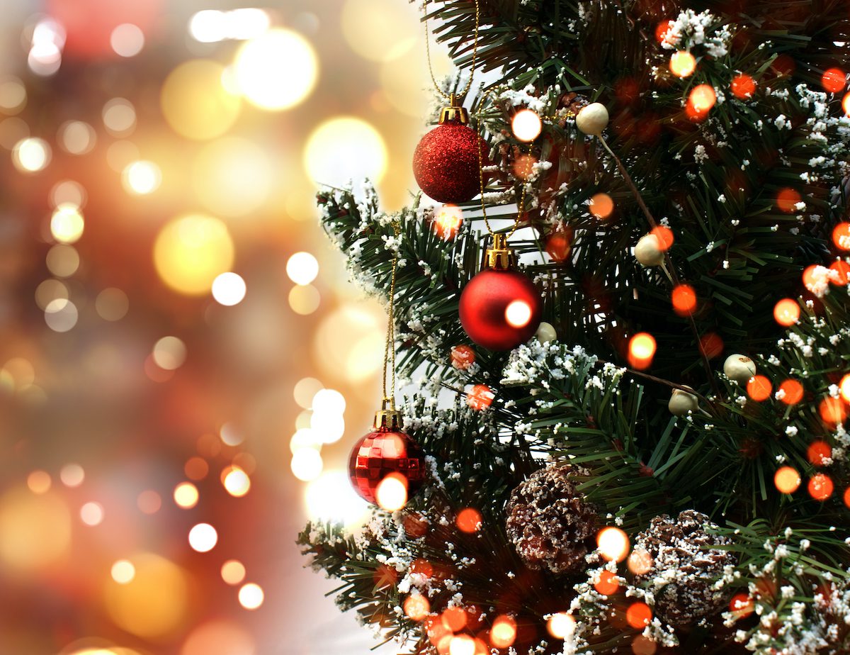 First Annual 'Optimist Festival Of Trees' To Bring Holiday Cheer To ...