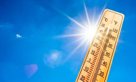 Excessive Heat Warning in Effect for the Weekend