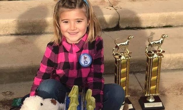 Tamale Festival Winners & Chihuahua Costume Contest