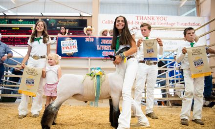 Livestock Shows and Auction Return To Mid-State Fair