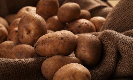 Potatoes and memories