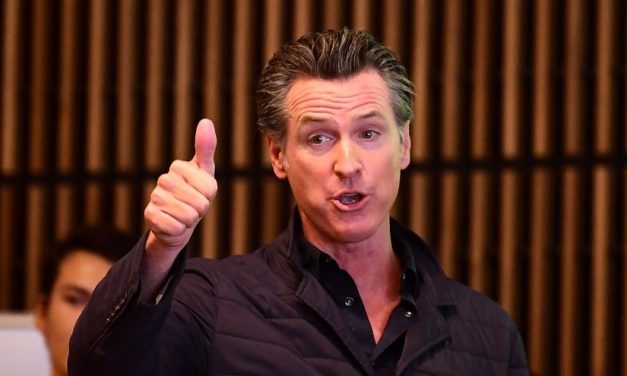 California Gov. Gavin Newsom Bans Gas Powered Lawn Mowers and Leaf Blowers