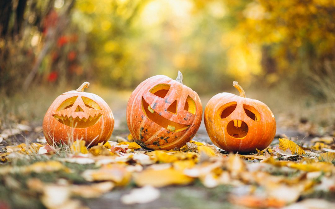 Recent North County October Calendar of Events