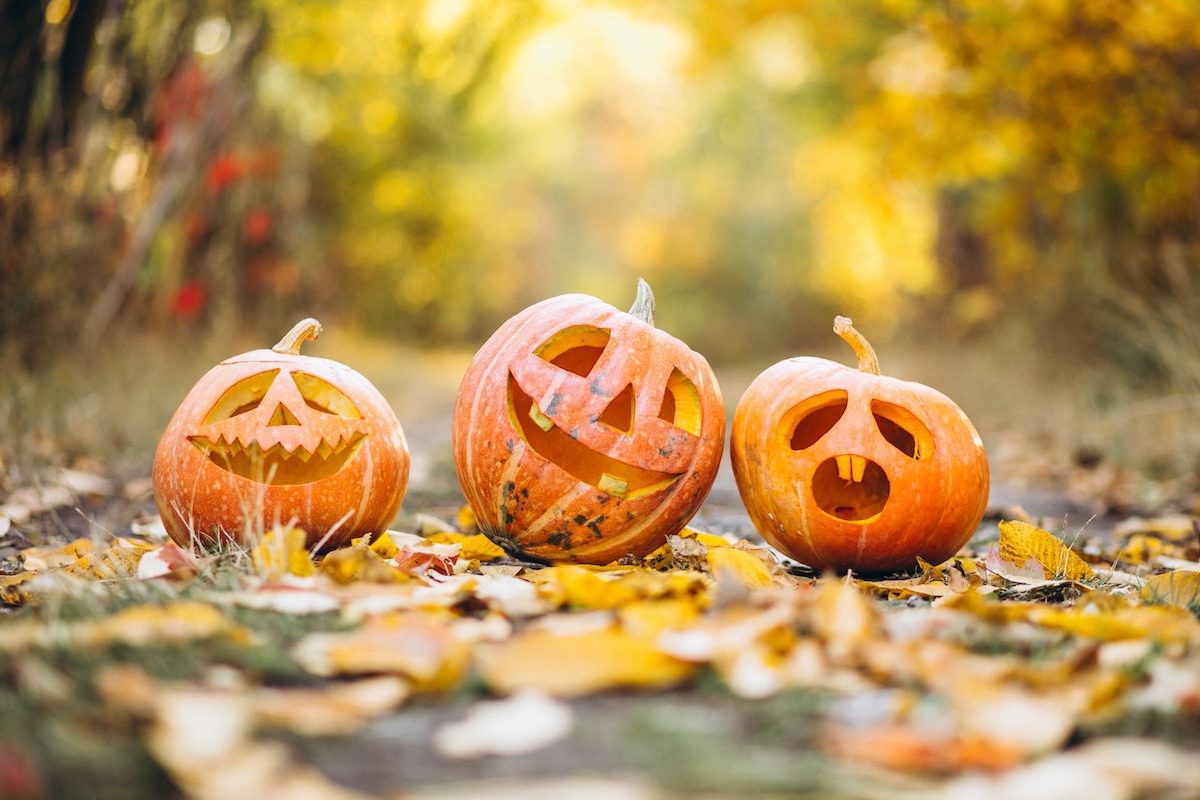 North County October Calendar of Events • Atascadero News