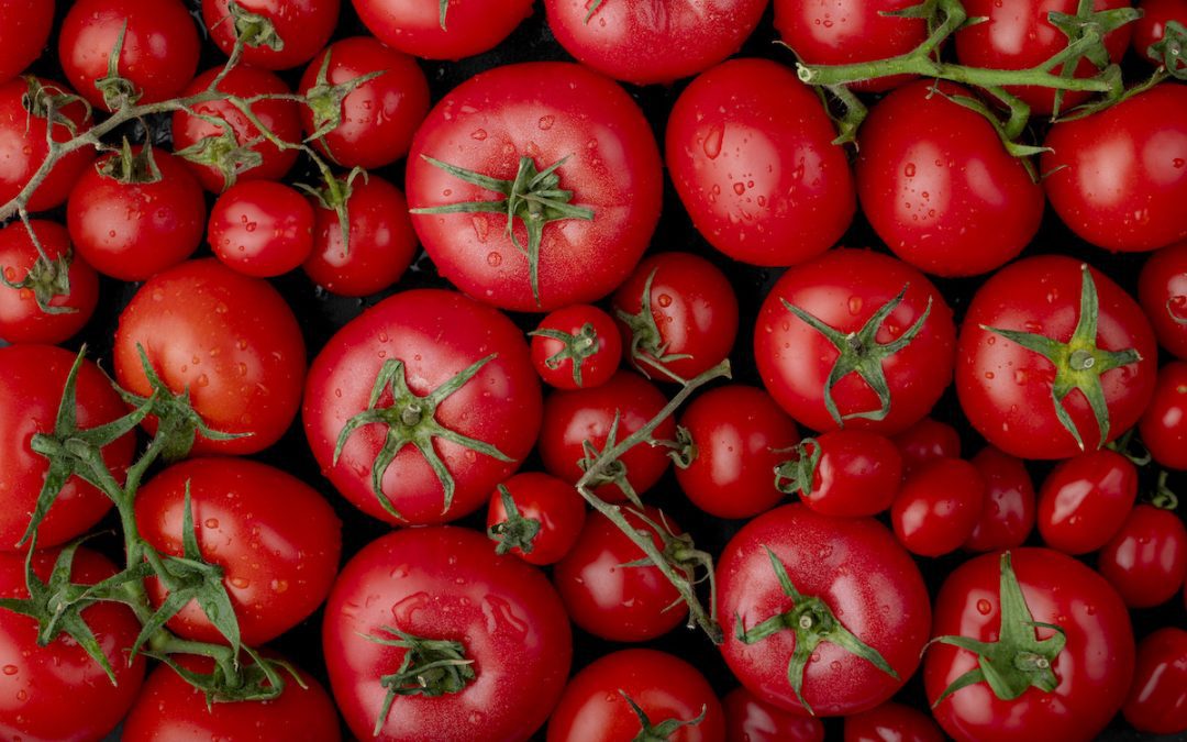 Recent Fresh tomatoes and farmer’s markets